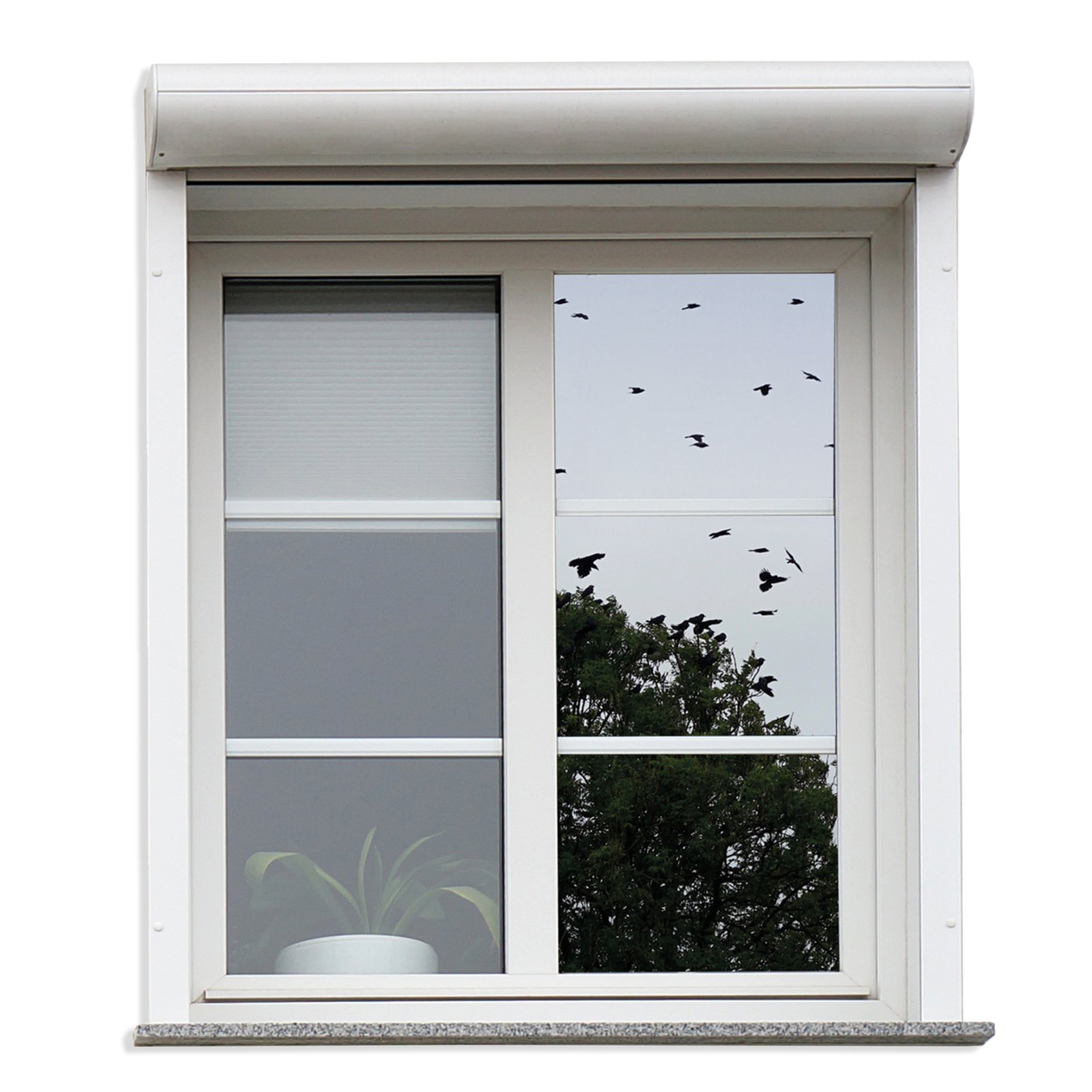 Fenster Sichtschutzfolie